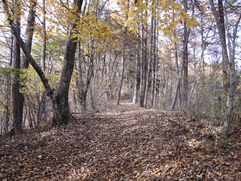 20161117hike (90)